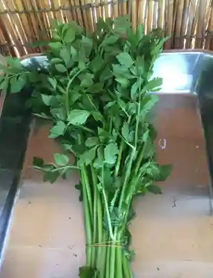 国宝 大法寺のその他建物