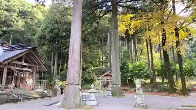 天日陰比咩神社の{uncategorized: "未分類", other: "その他", undefined: "問題あり", building: "その他建物", grave: "お墓", sacred_gate: "鳥居", guardian: "狛犬", statue: "像", buddha: "仏像", history: "歴史", nature: "自然", garden: "庭園", animal: "動物", pagoda: "塔", temizu: "手水舎", mountain_gate: "山門・神門", sanctuary: "本殿・本堂", subordinate: "末社・摂社", art: "芸術", scenery: "景色", jizo: "地蔵", ema: "絵馬", goshuin: "御朱印", omikuji: "おみくじ", items: "授与品その他", amulet: "お守り", goshuincho: "御朱印帳", eats: "食事", festival: "お祭り", votive_dance: "神楽", shichigosan: "七五三参", wedding: "結婚式", experience: "体験その他", initially: "初詣", around: "周辺", anti_infection: "感染症対策"}