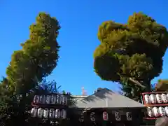 幡ケ谷氷川神社の建物その他