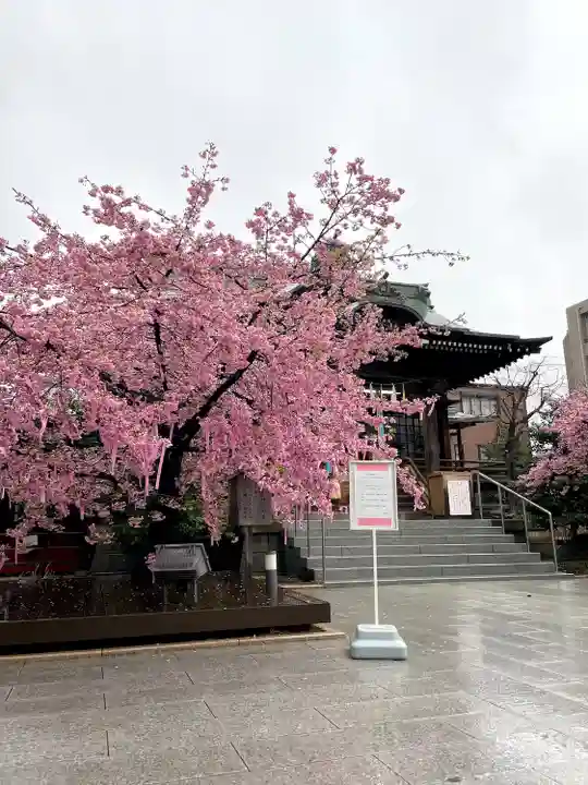 桜神宮(東京都)