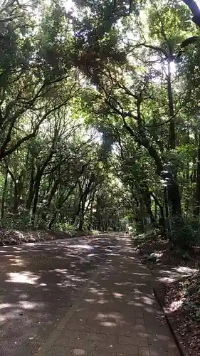 明治神宮(東京都)