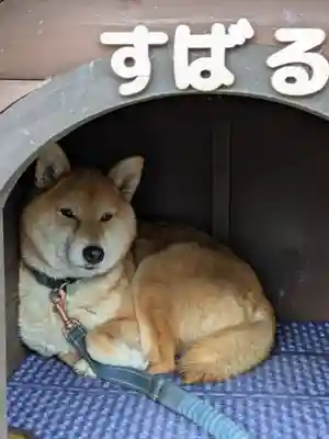 感通寺(東京都)