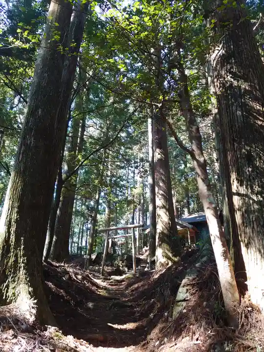 白光神社 奥宮の自然