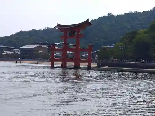 清盛神社の鳥居