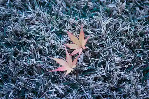 諏訪大社上社前宮(長野県)
