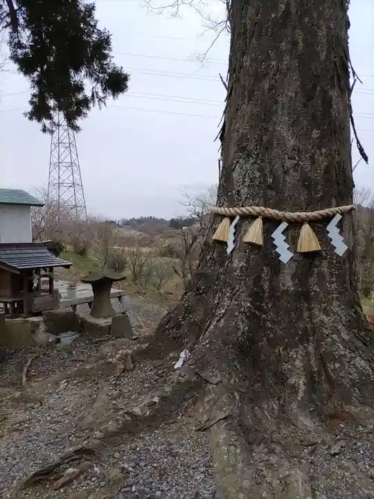 阿久津「田村神社」(郡山市阿久津町)旧社名:伊豆箱根三嶋三社(福島県)