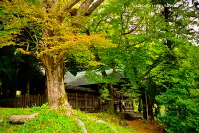 諏訪大社上社前宮(長野県)