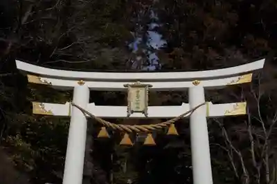 宝登山神社(埼玉県)