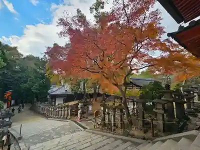 春日大社(奈良県)