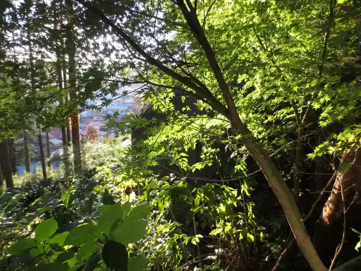 都々古別神社(八槻)の自然