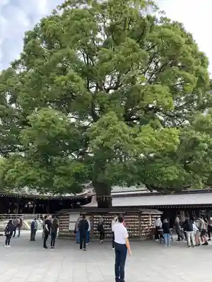 明治神宮(東京都)