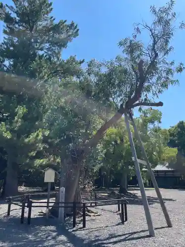 氣比神宮(福井県)