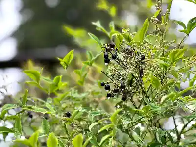 古町豊受大神宮(長野県)