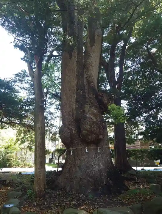 部田神社(静岡県)