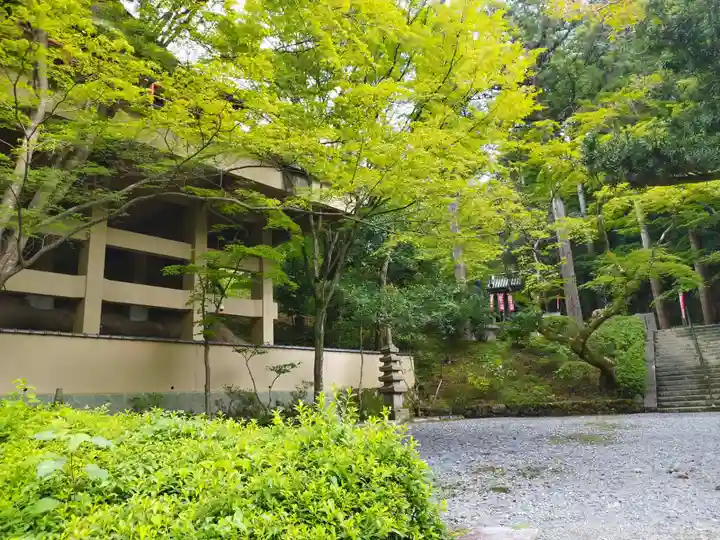 今熊野観音寺(京都府)