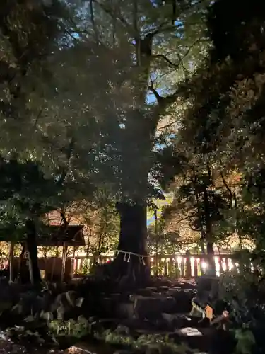 川越氷川神社の{uncategorized: "未分類", other: "その他", undefined: "問題あり", building: "その他建物", grave: "お墓", sacred_gate: "鳥居", guardian: "狛犬", statue: "像", buddha: "仏像", history: "歴史", nature: "自然", garden: "庭園", animal: "動物", pagoda: "塔", temizu: "手水舎", mountain_gate: "山門・神門", sanctuary: "本殿・本堂", subordinate: "末社・摂社", art: "芸術", scenery: "景色", jizo: "地蔵", ema: "絵馬", goshuin: "御朱印", omikuji: "おみくじ", items: "授与品その他", amulet: "お守り", goshuincho: "御朱印帳", eats: "食事", festival: "お祭り", votive_dance: "神楽", shichigosan: "七五三参", wedding: "結婚式", experience: "体験その他", initially: "初詣", around: "周辺", anti_infection: "感染症対策"}