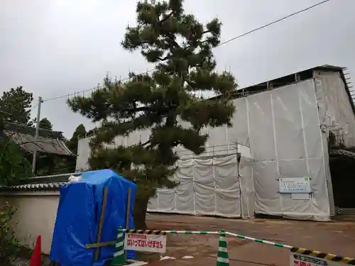 実相寺のその他建物