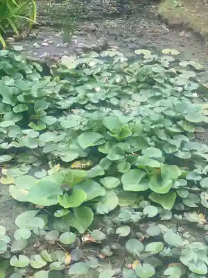 感通寺(東京都)