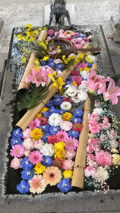 札幌護國神社の{uncategorized: "未分類", other: "その他", undefined: "問題あり", building: "その他建物", grave: "お墓", sacred_gate: "鳥居", guardian: "狛犬", statue: "像", buddha: "仏像", history: "歴史", nature: "自然", garden: "庭園", animal: "動物", pagoda: "塔", temizu: "手水舎", mountain_gate: "山門・神門", sanctuary: "本殿・本堂", subordinate: "末社・摂社", art: "芸術", scenery: "景色", jizo: "地蔵", ema: "絵馬", goshuin: "御朱印", omikuji: "おみくじ", items: "授与品その他", amulet: "お守り", goshuincho: "御朱印帳", eats: "食事", festival: "お祭り", votive_dance: "神楽", shichigosan: "七五三参", wedding: "結婚式", experience: "体験その他", initially: "初詣", around: "周辺", anti_infection: "感染症対策"}