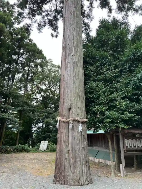 川勾神社(神奈川県)