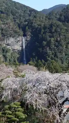青岸渡寺(和歌山県)