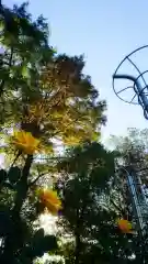 尾張大國霊神社（国府宮）の景色