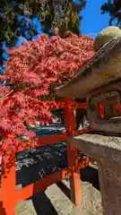 竹中稲荷神社（吉田神社末社）(京都府)