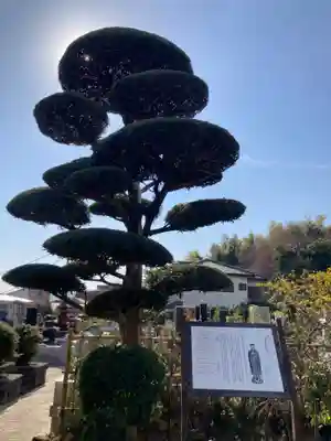 善福寺(神奈川県)