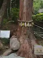 神場山神社の自然