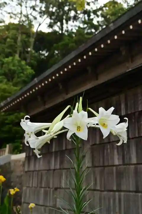 隠岐神社(島根県)