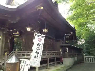 白旗神社の本殿・本堂
