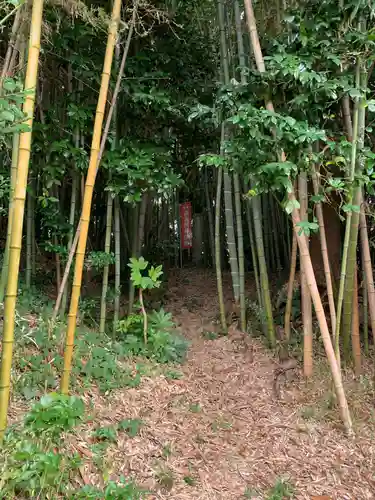 蓮花寺(千葉県)