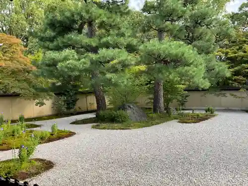 廬山寺（廬山天台講寺）(京都府)