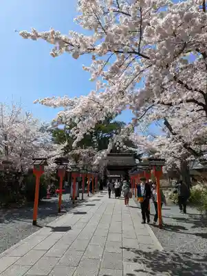 平野神社(京都府)