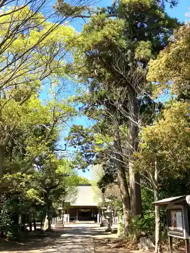 諏訪大神(千葉県)