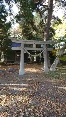仙人神社の鳥居