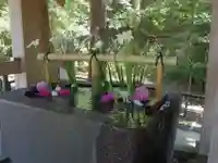 鶴岡八幡宮の手水舎