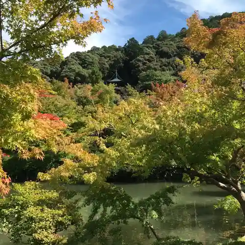 禅林寺（永観堂）の庭園