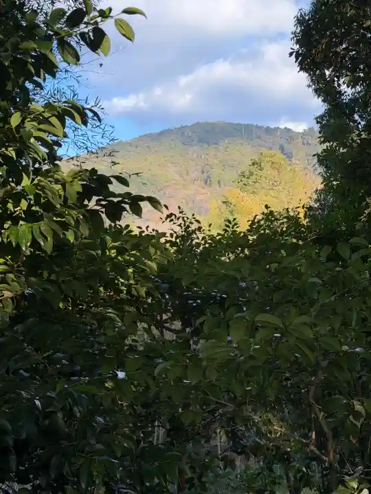 久延彦神社(奈良県)