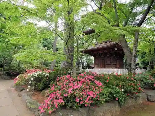 豪徳寺の庭園