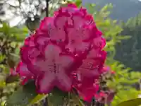 西光寺(奈良県)