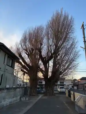 愛宕神社(千葉県)