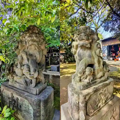 赤坂氷川神社の狛犬