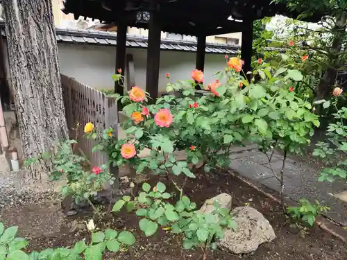 得浄明院（善光寺別院）(京都府)