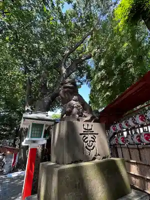 田無神社の狛犬