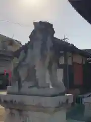 新田白山神社の狛犬