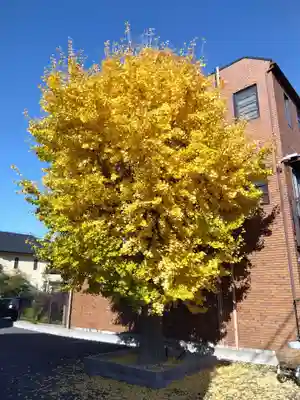 清雲寺(愛知県)