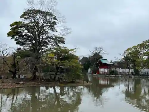 鶴岡八幡宮(神奈川県)