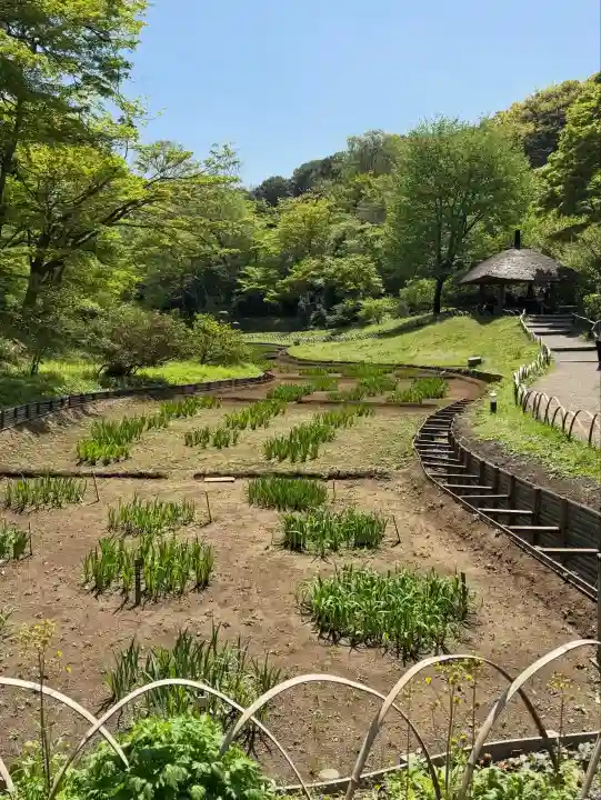 明治神宮の{uncategorized: "未分類", other: "その他", undefined: "問題あり", building: "その他建物", grave: "お墓", sacred_gate: "鳥居", guardian: "狛犬", statue: "像", buddha: "仏像", history: "歴史", nature: "自然", garden: "庭園", animal: "動物", pagoda: "塔", temizu: "手水舎", mountain_gate: "山門・神門", sanctuary: "本殿・本堂", subordinate: "末社・摂社", art: "芸術", scenery: "景色", jizo: "地蔵", ema: "絵馬", goshuin: "御朱印", omikuji: "おみくじ", items: "授与品その他", amulet: "お守り", goshuincho: "御朱印帳", eats: "食事", festival: "お祭り", votive_dance: "神楽", shichigosan: "七五三参", wedding: "結婚式", experience: "体験その他", initially: "初詣", around: "周辺", anti_infection: "感染症対策"}