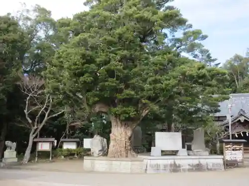 鶴谷八幡宮のその他建物